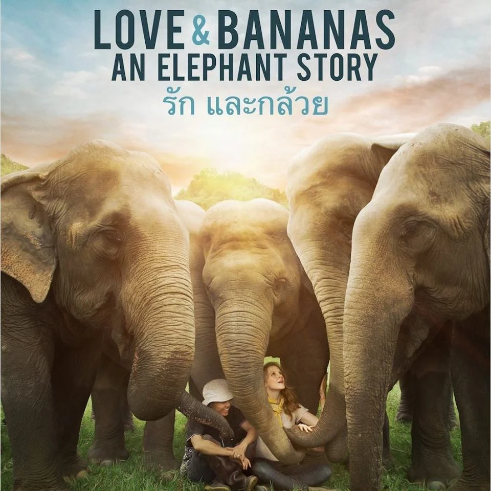 Love and Bananas.jpg