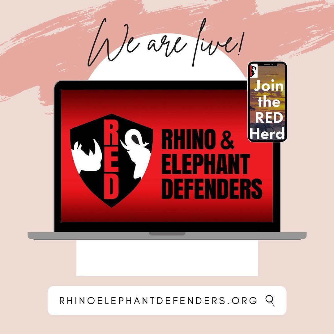 Drumroll, please!🥁On this special #EndangeredSpeciesDay, we are delighted to announce the official rebranding of Global March for Elephants &amp; Rhinos &ndash; Toronto (GMFER-TO) to Rhino &amp; Elephant Defenders (RED)🎉🎉🎉

We invite you to explo