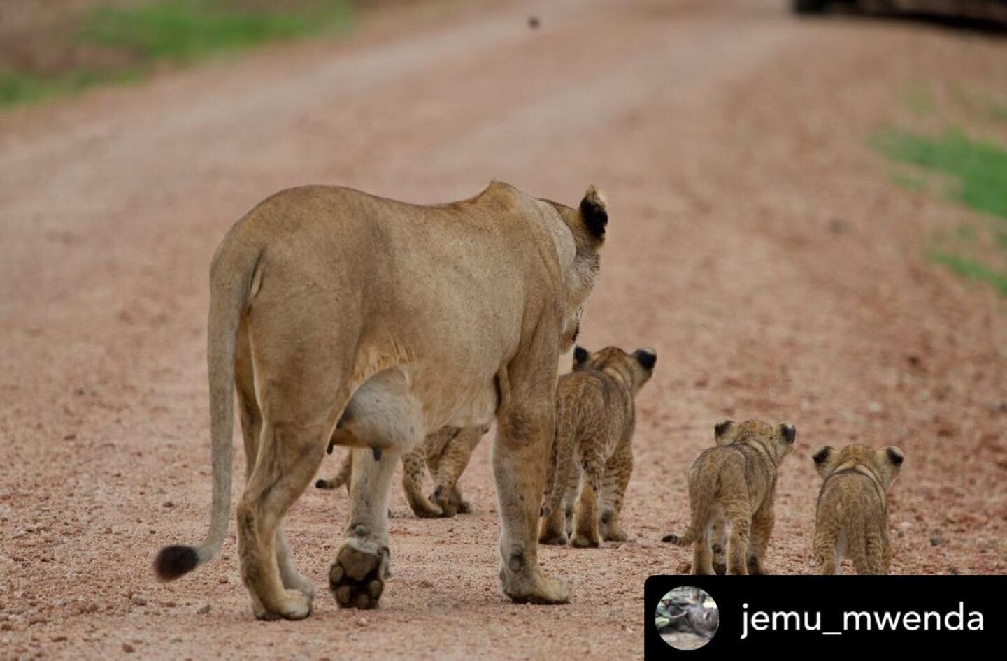 Happy Earth Day🌎Thank you James for these beautiful words💚

Posted @withregram &bull; @jemu_mwenda

Earth Day.
May this day remind us that our actions and what we choose to do to the earth is a litmus test and the results will show up in our lifeti