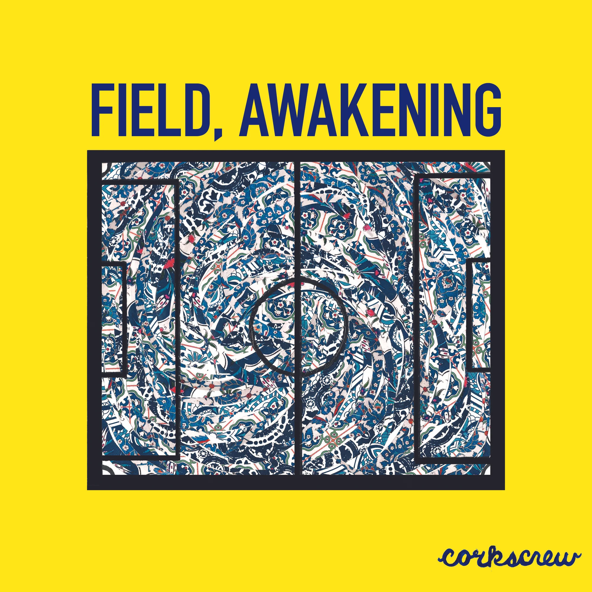 field.jpg
