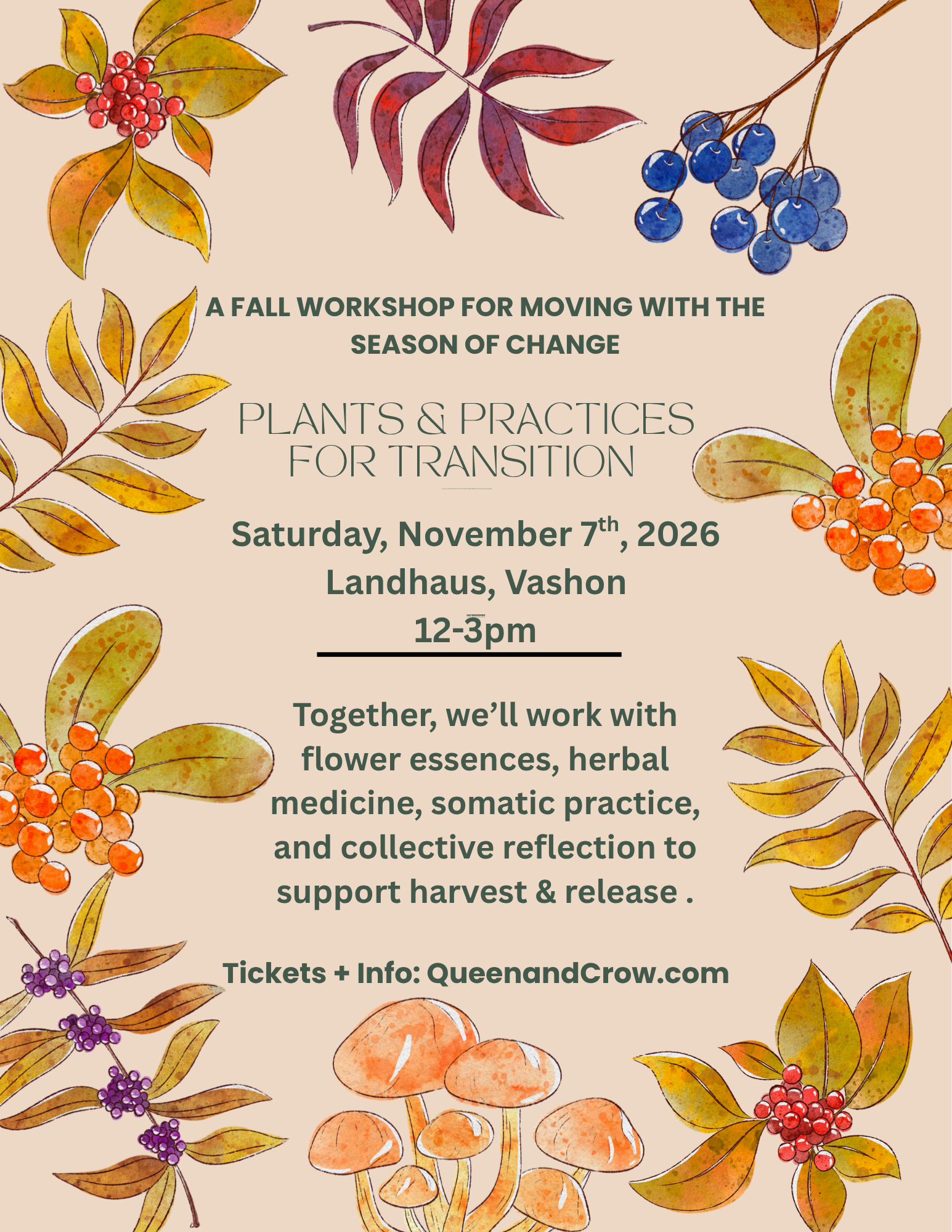 Plants & Practices For Transition