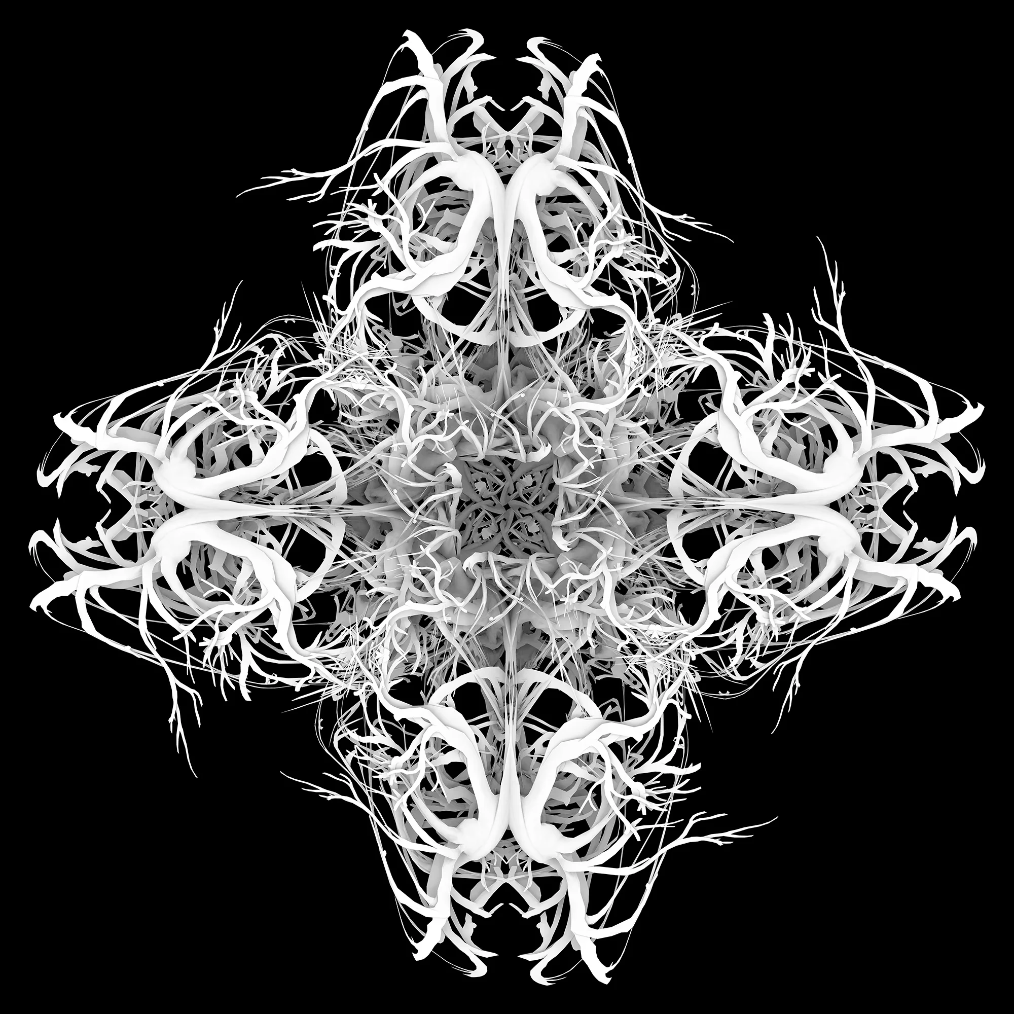 4-5-03_9-30-2011_80001_front_final.jpg