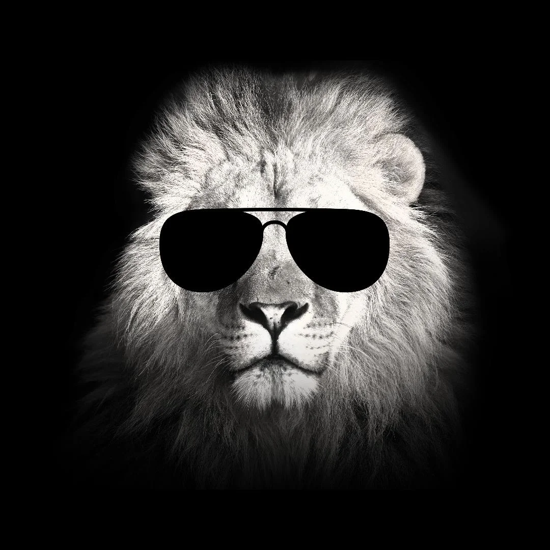 lion.jpg