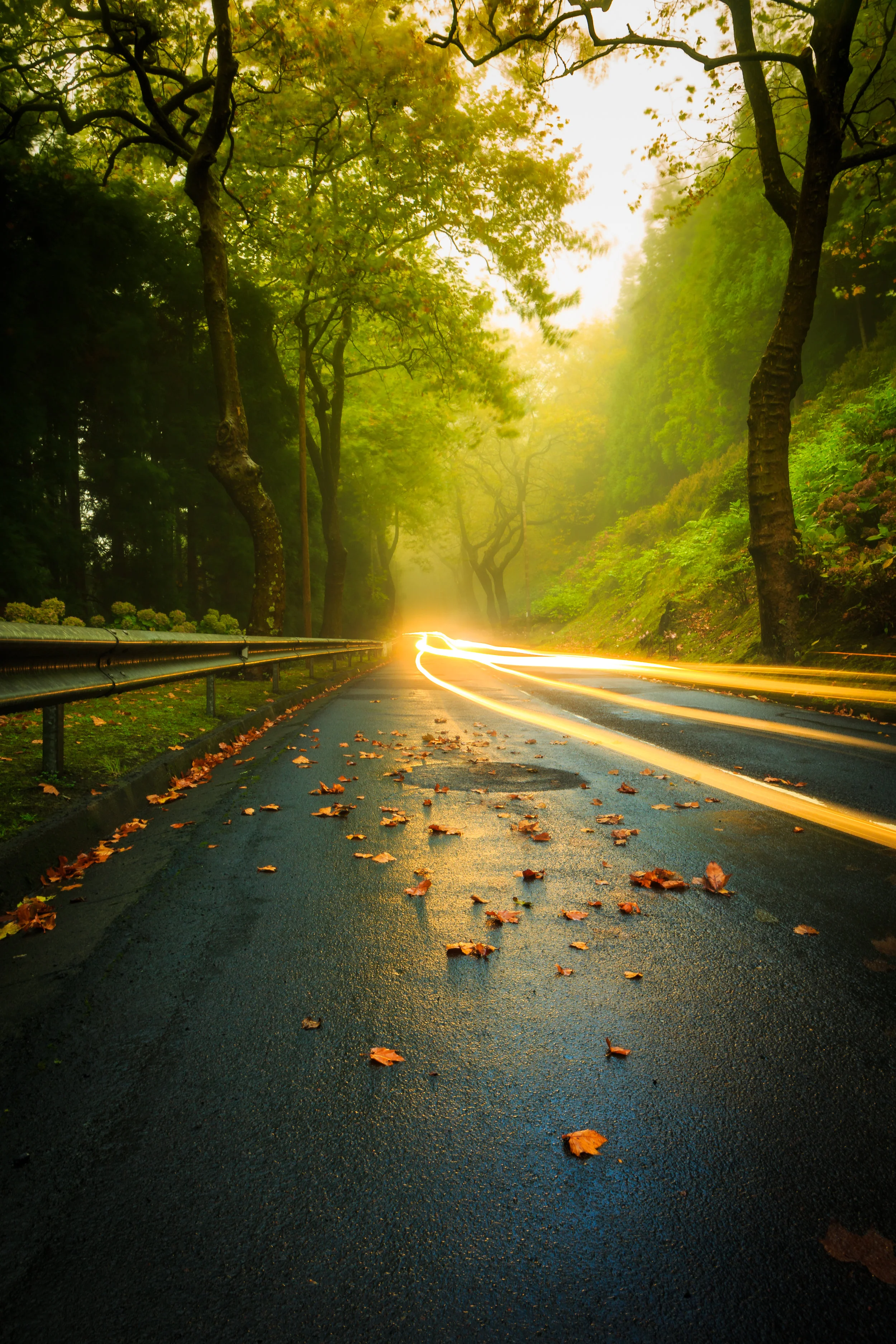 Autumn Speed