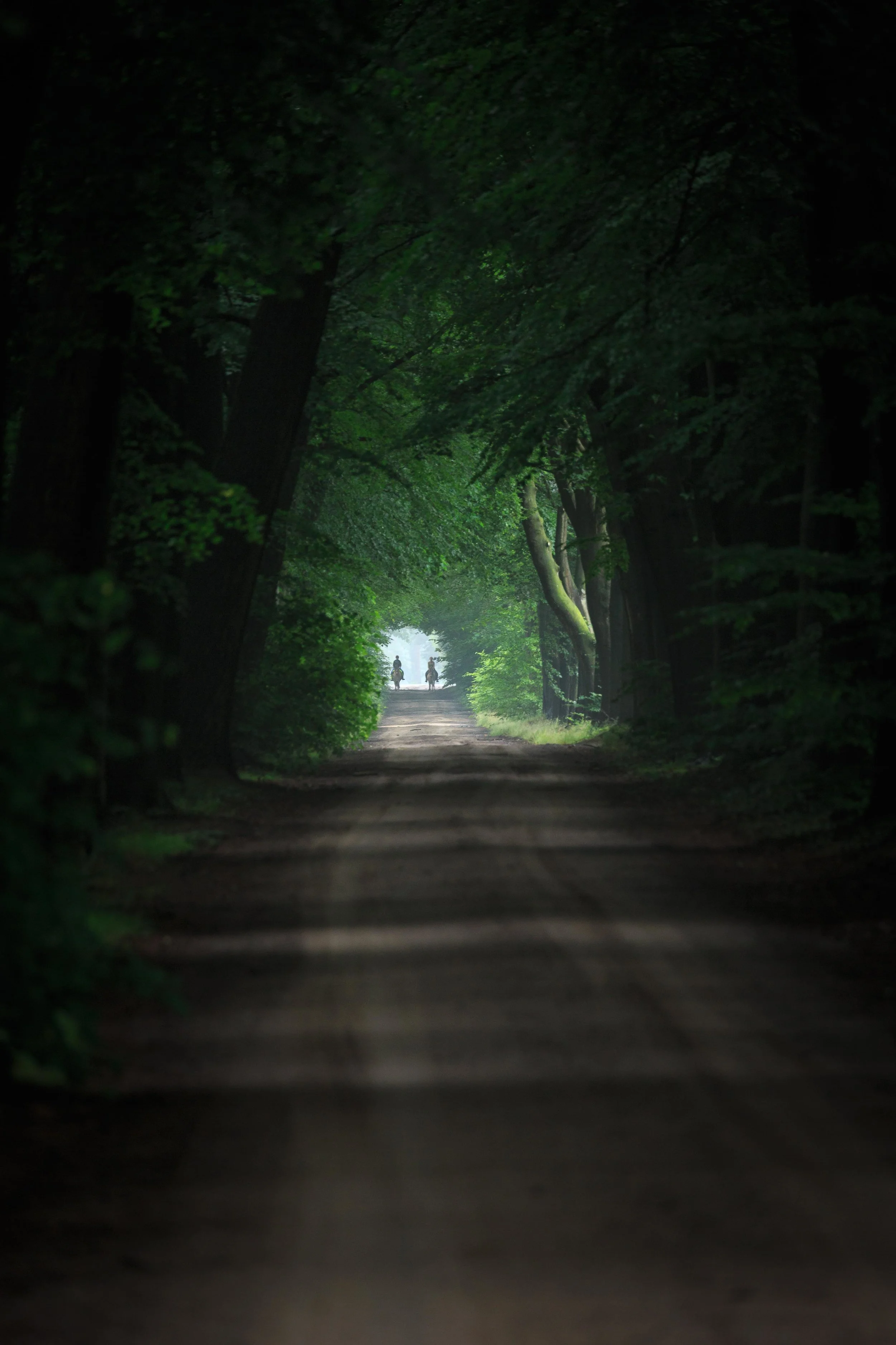 Riding in the Distance