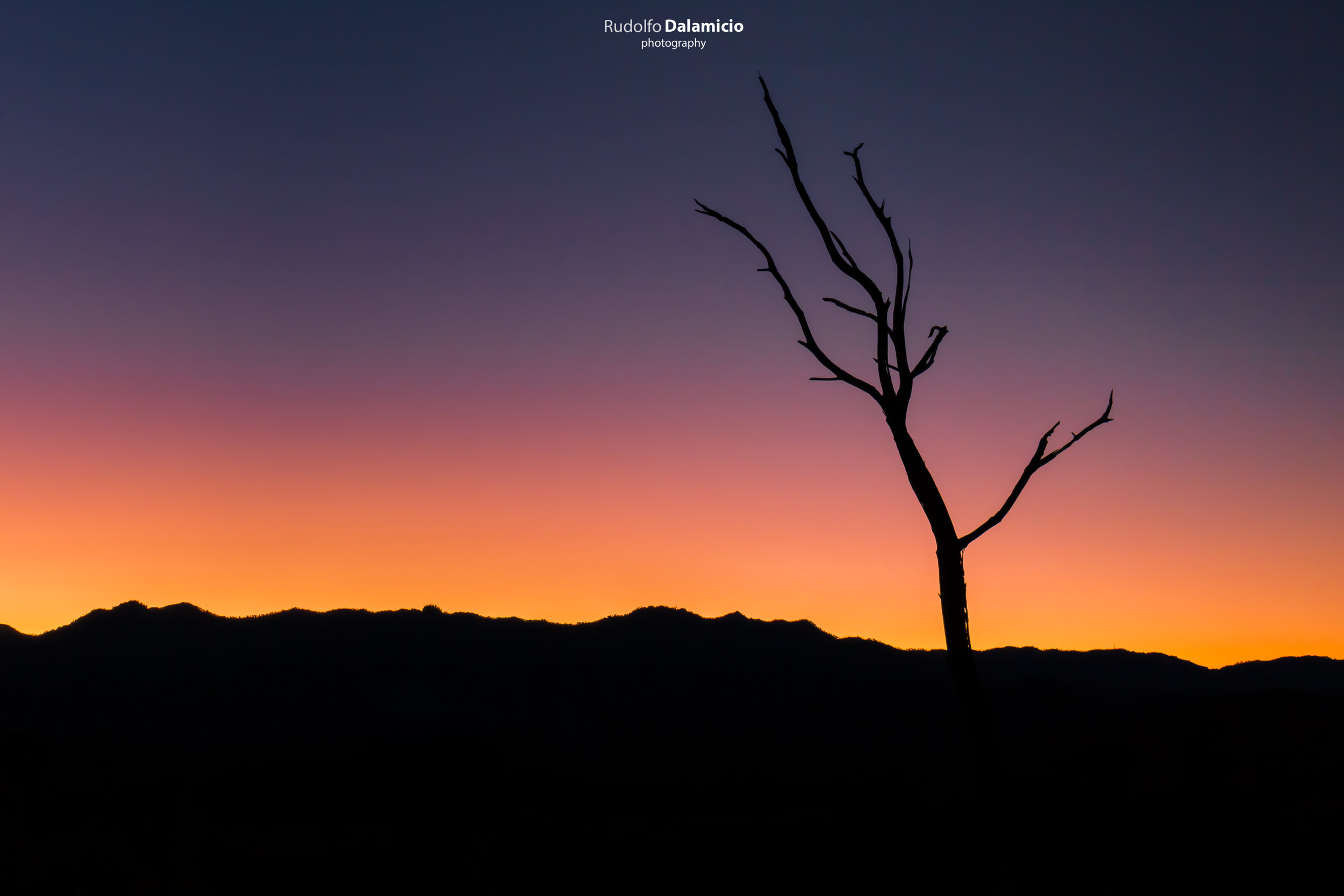 Dead Silhoutte nr.2