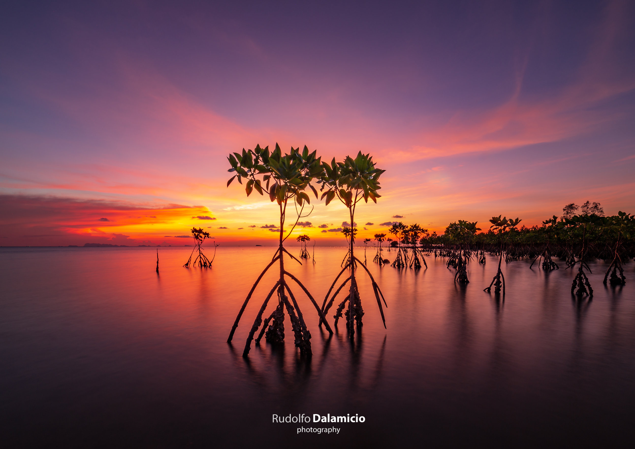 the beaches and islands-5.jpg