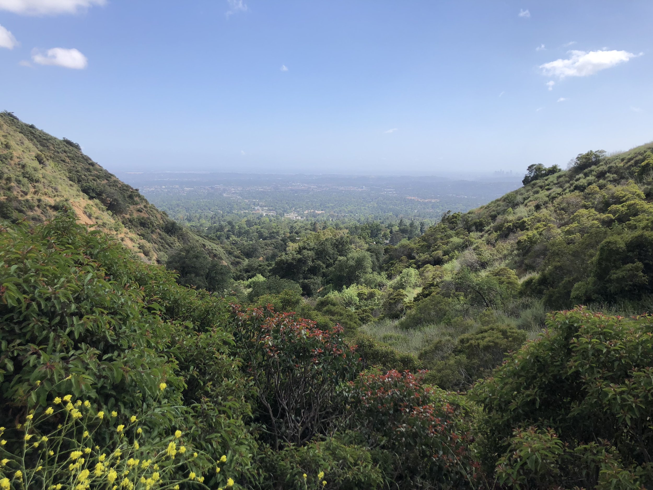 hiking in monrovia the other day after some rain!