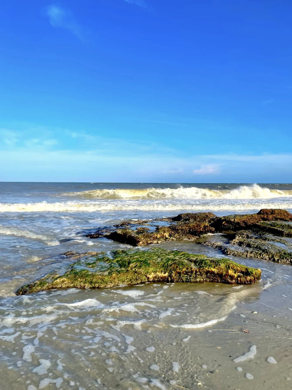 2022-07-18 18-37-19.jpeg