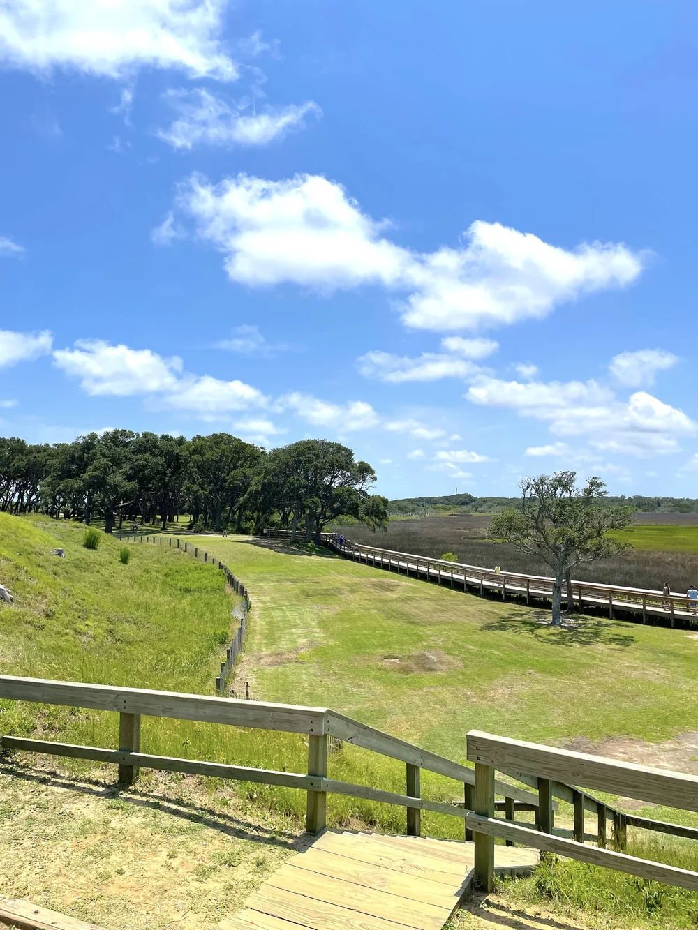 2022-07-20 14-02-23.jpeg