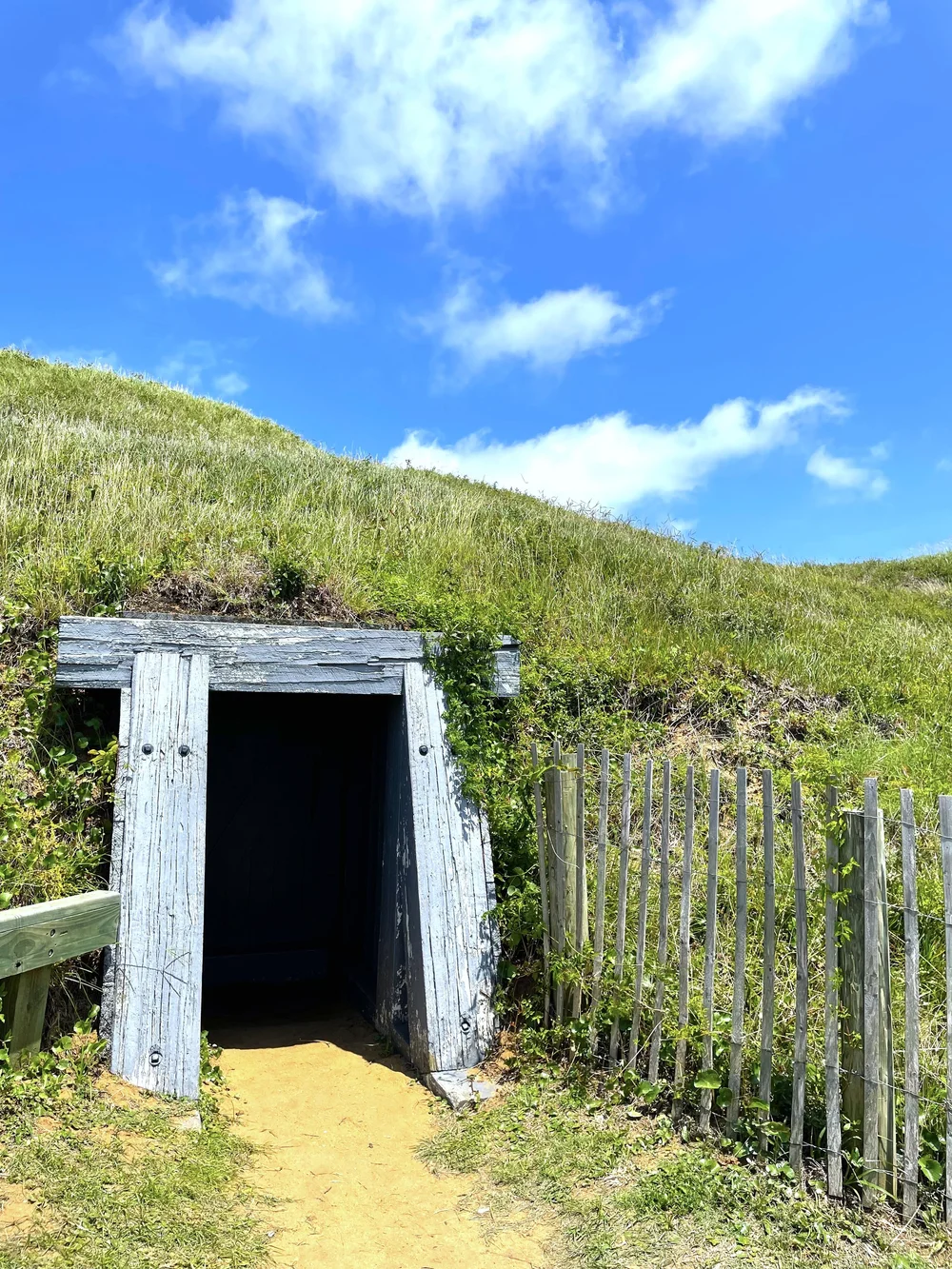 2022-07-20 14-03-41.jpeg