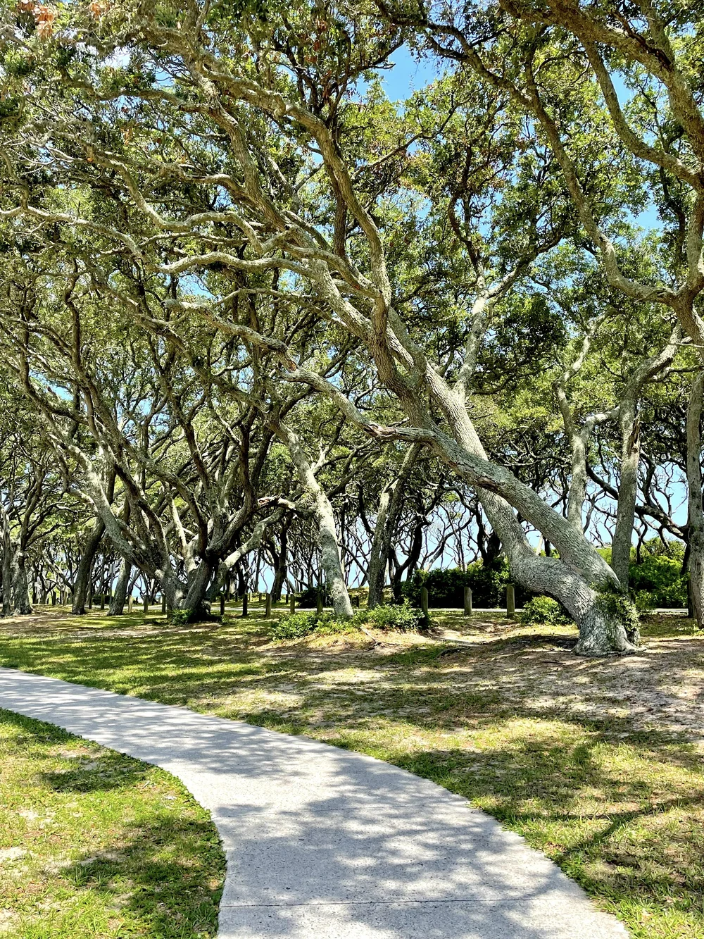 2022-07-20 14-09-49.jpeg