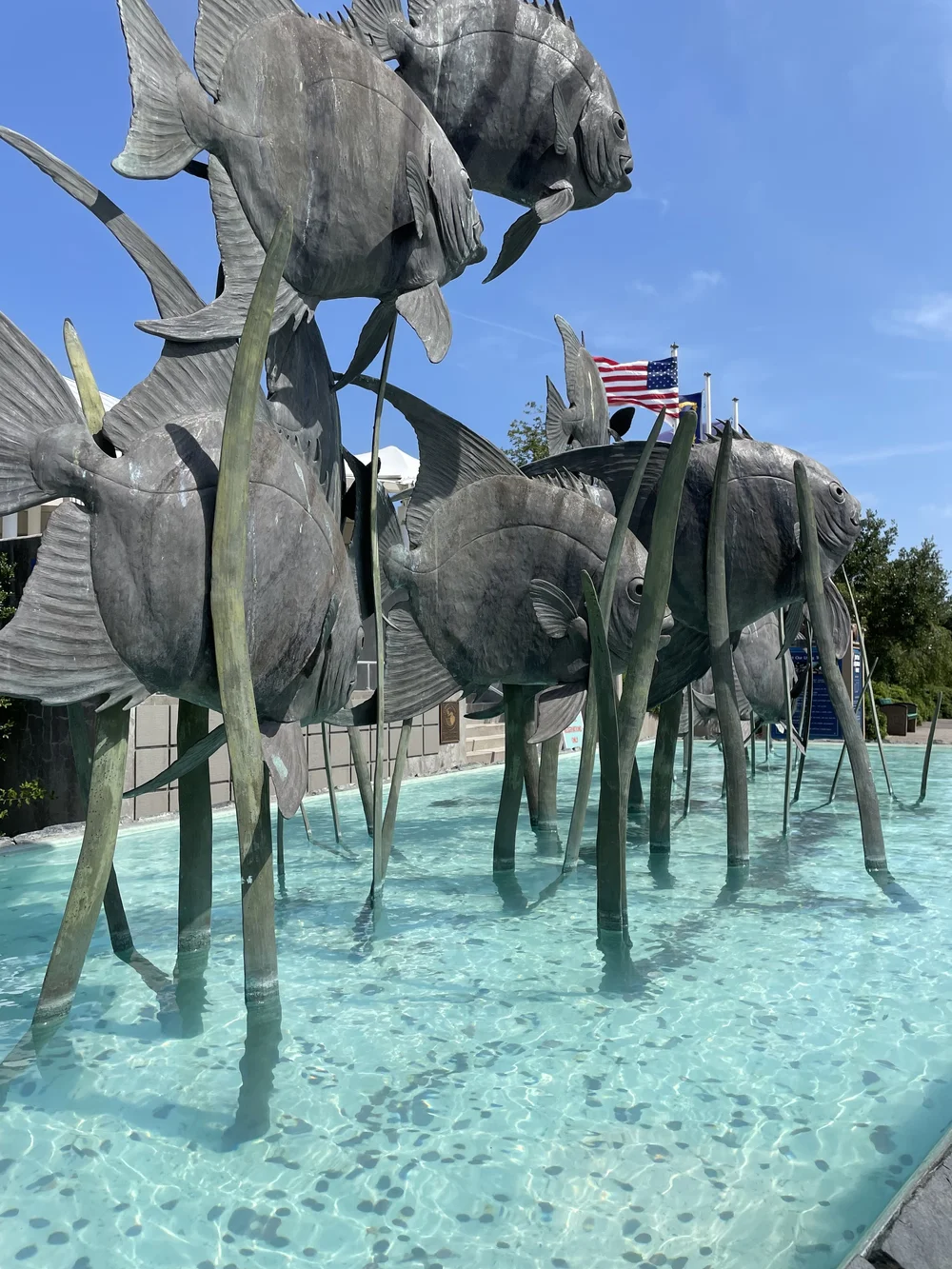 2022-07-20 15-33-46.jpeg