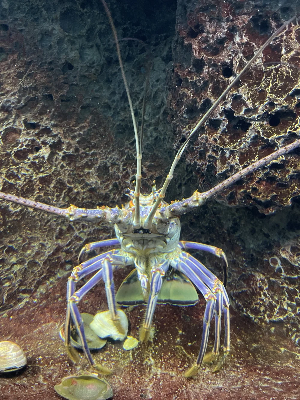 2022-07-20 15-15-04.jpeg