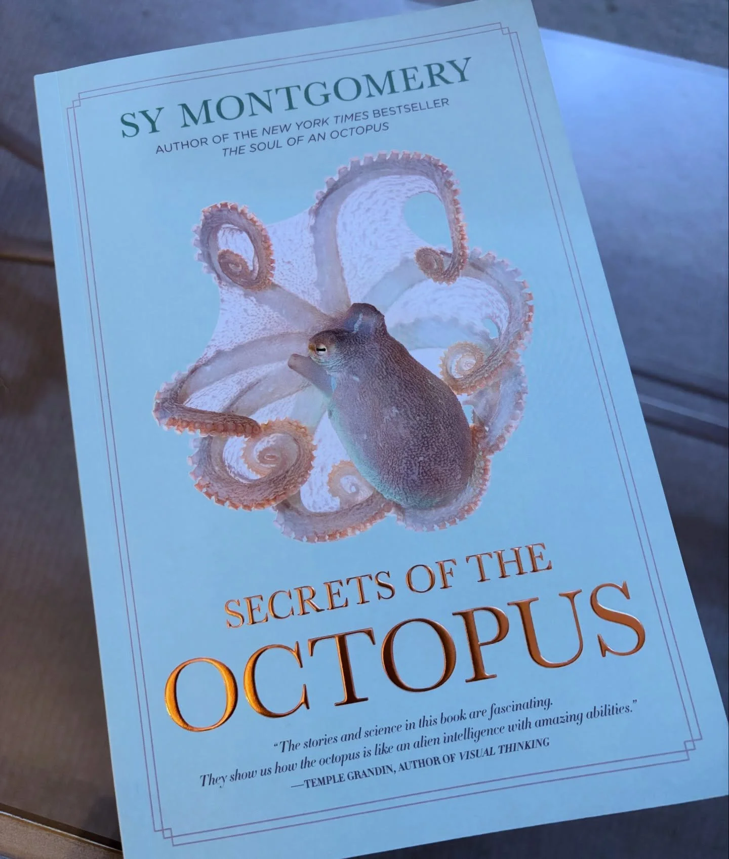Recent read: Secrets of the Octopus by Sy Montgomery

You know I&rsquo;m over here reading all the octopus books. I enjoyed Montgomery&rsquo;s other book, The Soul of an Octopus, so I knew I&rsquo;d love this. It&rsquo;s intended to be a companion to