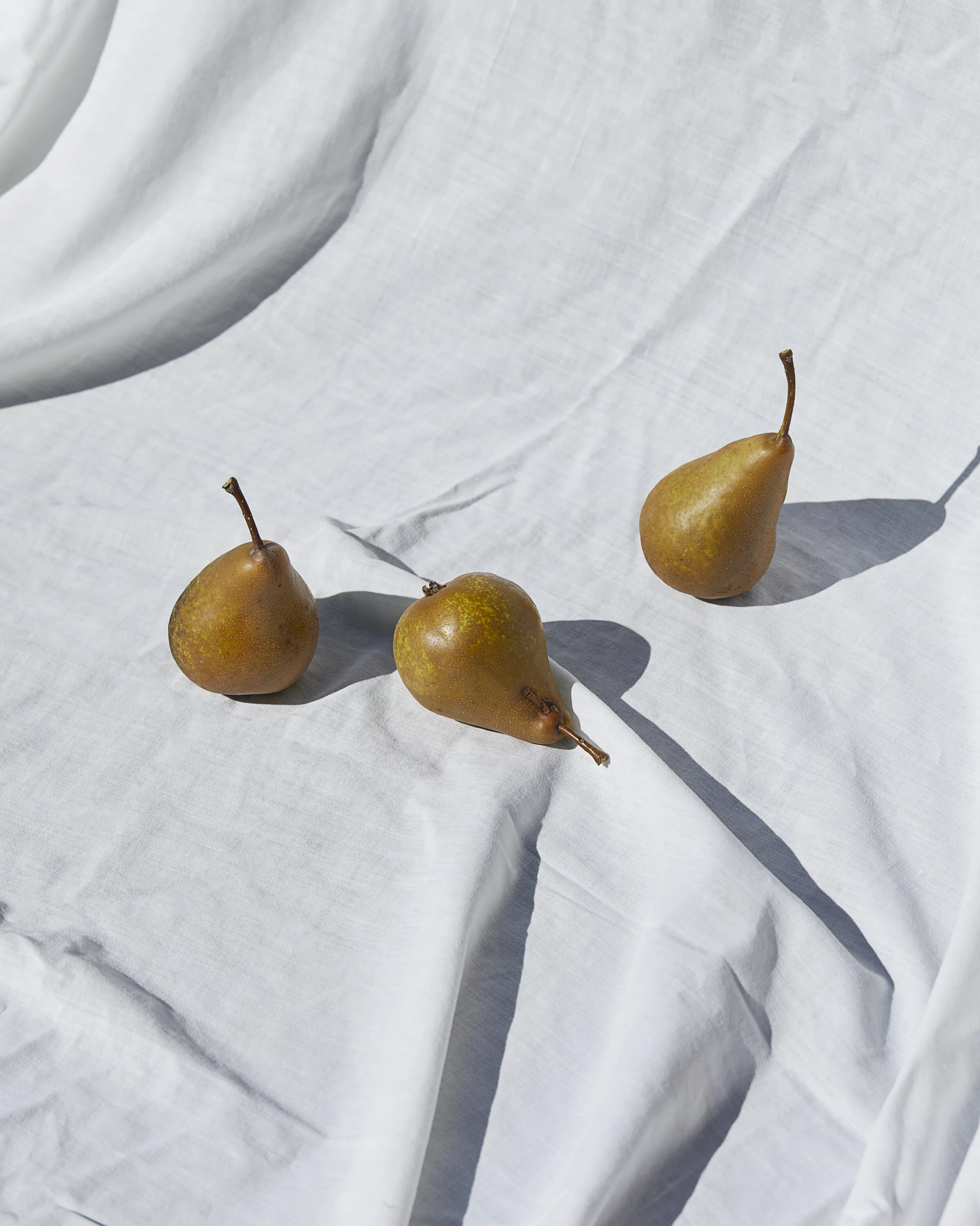 Cream Town Supports Artists Impacted by COVID-19