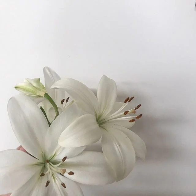For those who love flowers as much as @christinakarras_ and I, we rounded up a list of our favourite IG floral accounts for your viewing pleasure. I&rsquo;ve put the link in my bio to read 💐💘