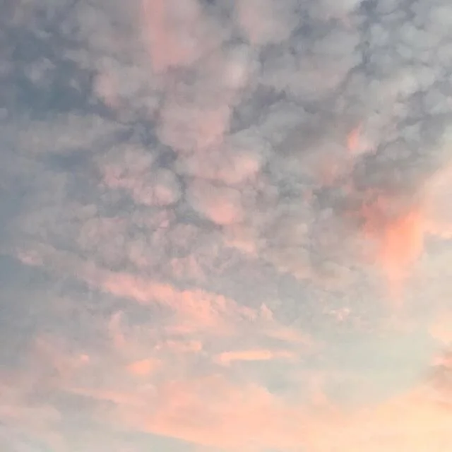 I&rsquo;m not sure I&rsquo;m ready to go back to normal posting. I don&rsquo;t think &lsquo;normal&rsquo; is really an option anymore, or if it ever even was. 
The past few weeks have brought an abundance of knowledge about racial injustices and the 