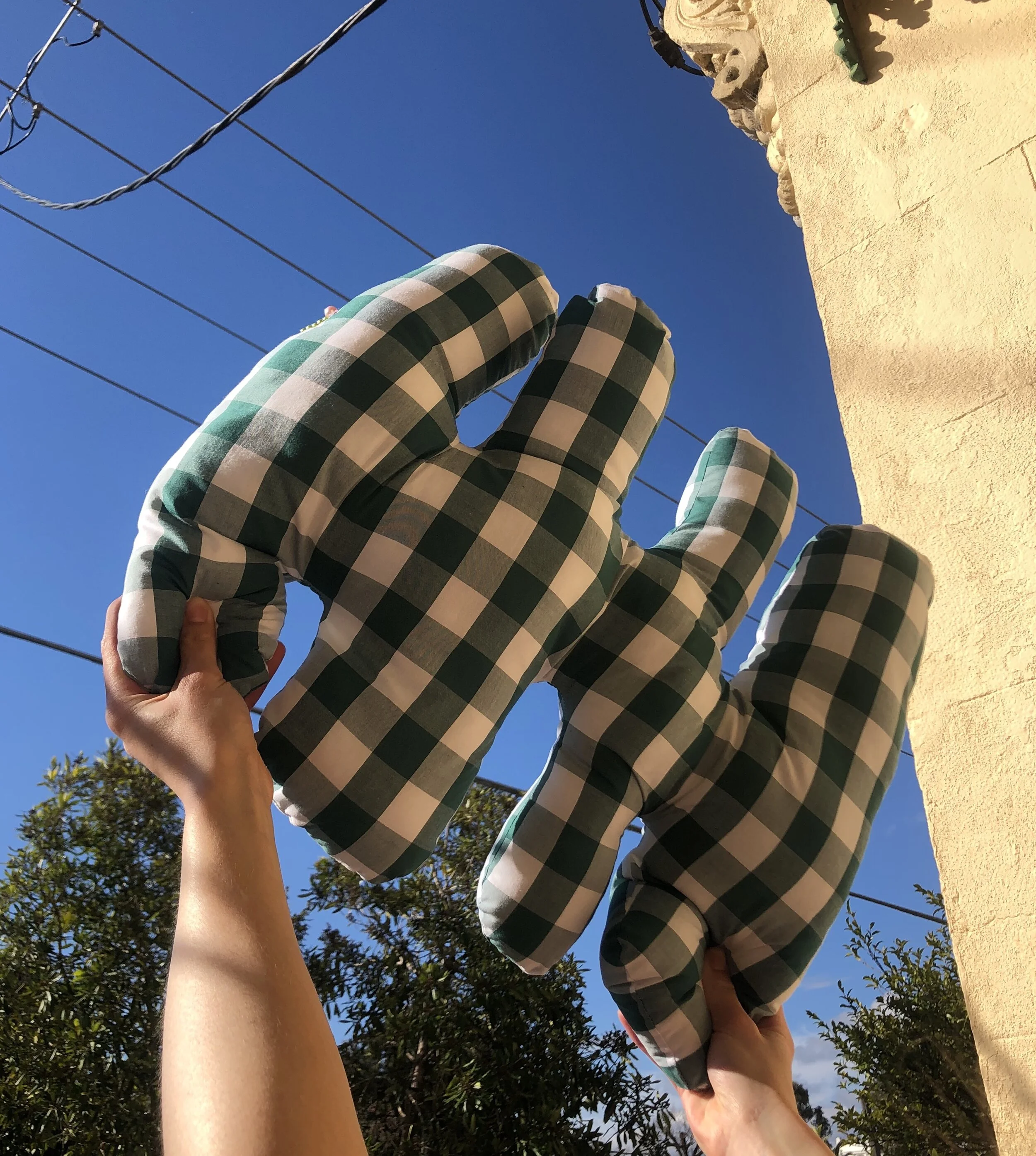 The Isolation Diaries:  Monique Chiari