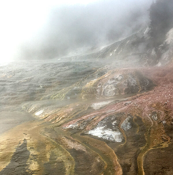 thermal springs within a huge caldera in New Zealand hold clues to the origins of life