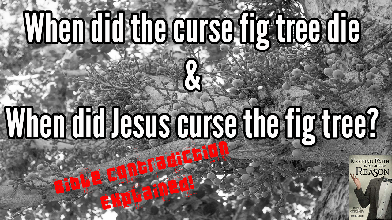 When did the curse fig tree die & When did Jesus curse the fig tree.png