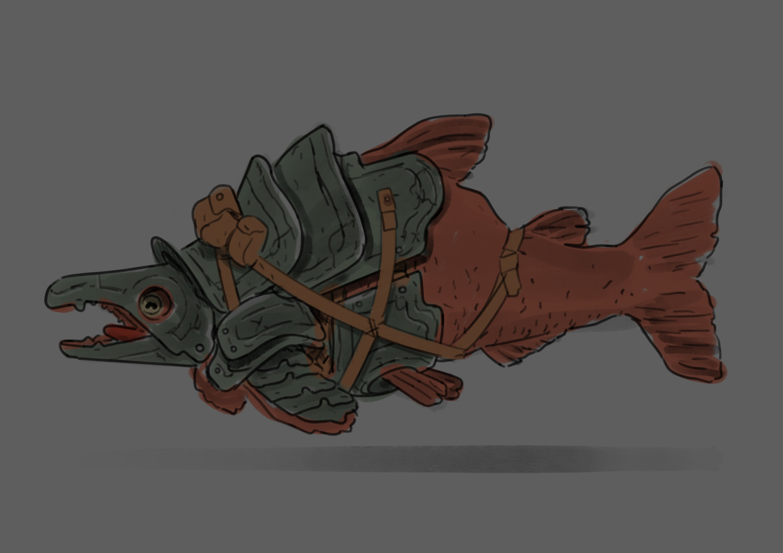 salmon_dark.jpg