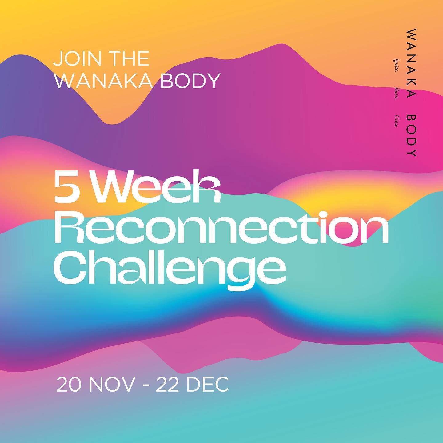 Very excited to announce a 5 Week Reconnection Challenge after a 7 month hiatus + much needed rest and reset.

Over the past 7 months of sleeping in, studying, learning, tuning in, listening to my body + creating space to get clarity on what path I w