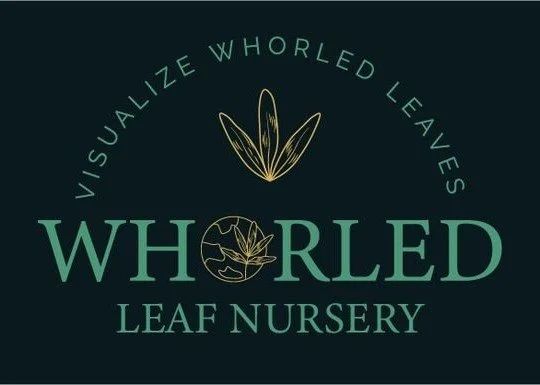 Whorled Leaf Nursery