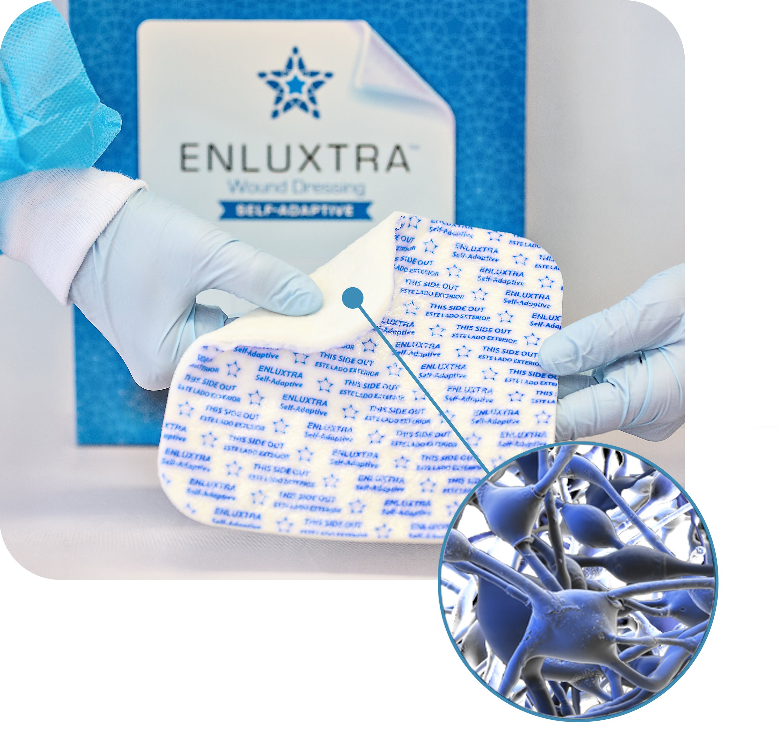 Enluxtra dressing and fiber2.jpg