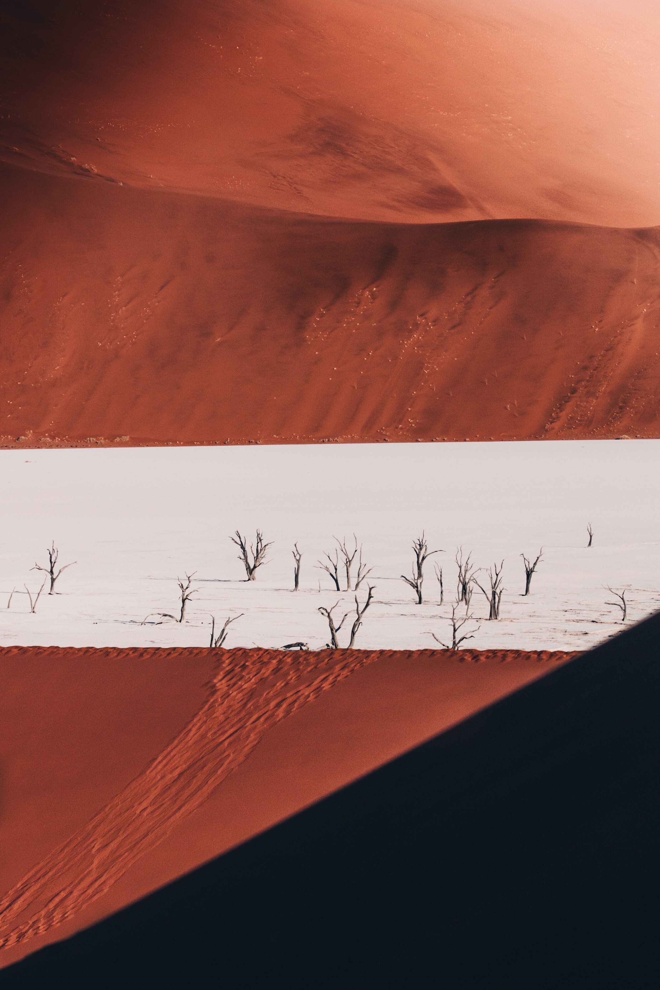 E28D42E9-B00B-4C41-8083-D6009B0E025E 2.JPG