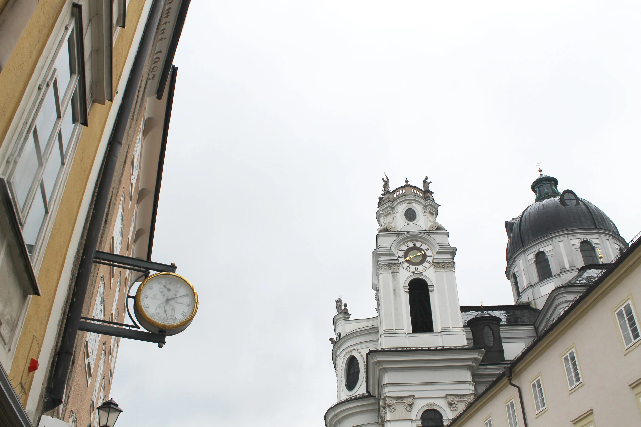 IMG_8262.JPG
