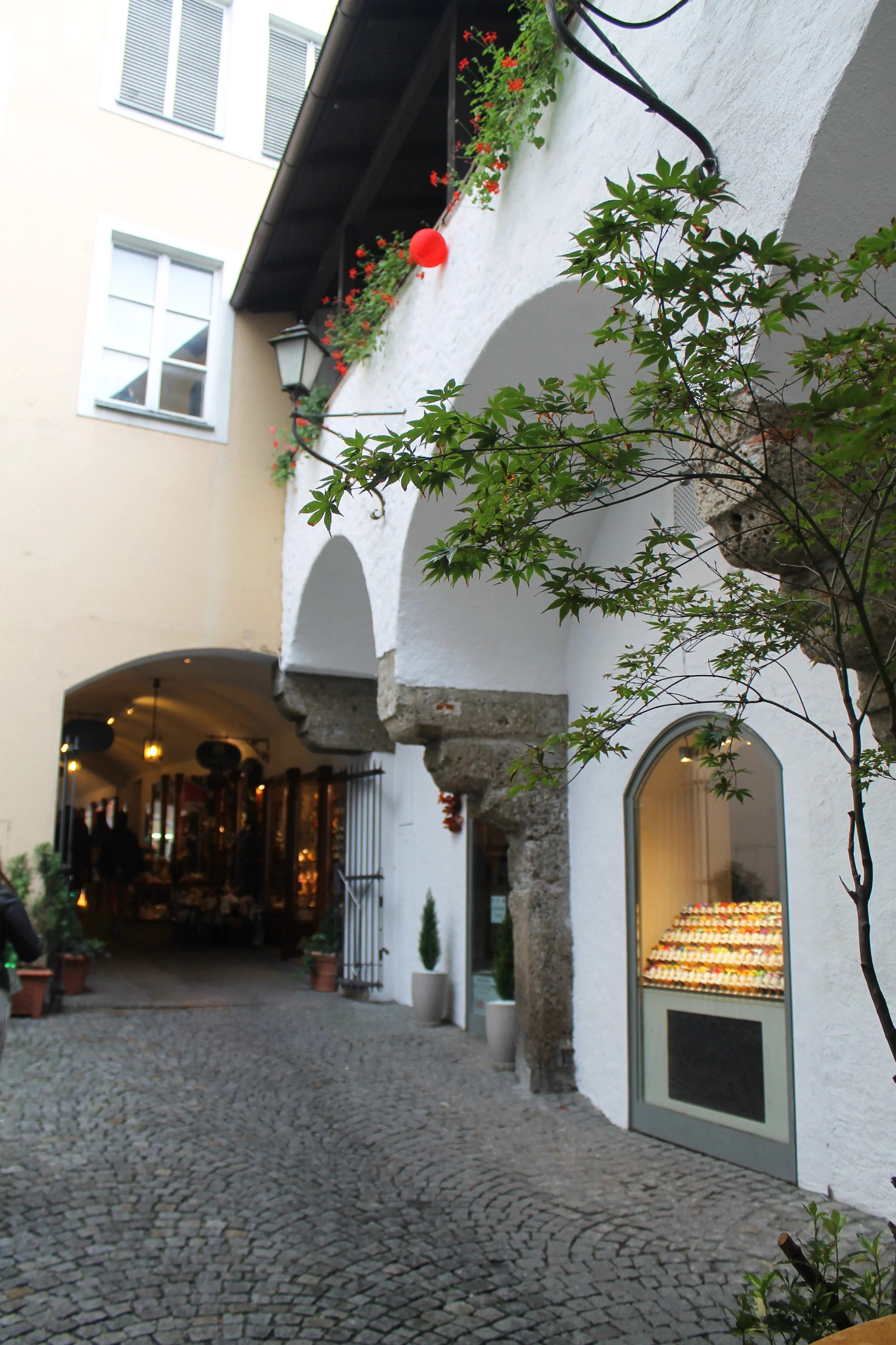 IMG_8332.JPG