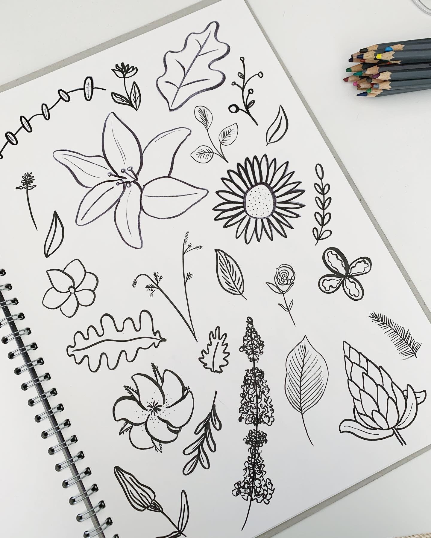 Some plant studies
Materials: pen

#sketch #pen #drawing #drawings #art #study #plant #flowers #nature #illustration #artwork #artistsoninstagram #draw #plants #sketchbook #sketching