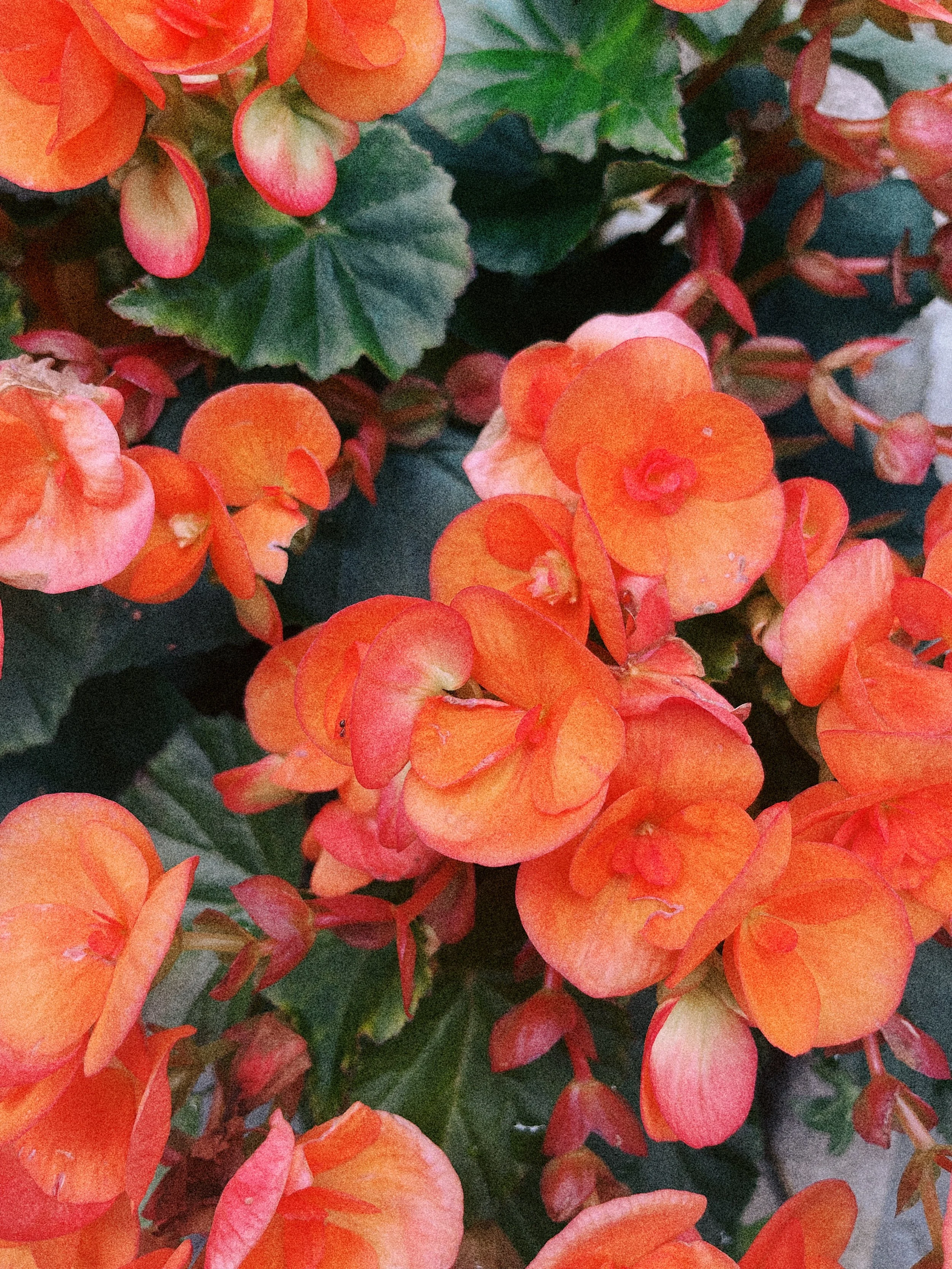 IMG_4825%20Edited 16 Edited.JPG