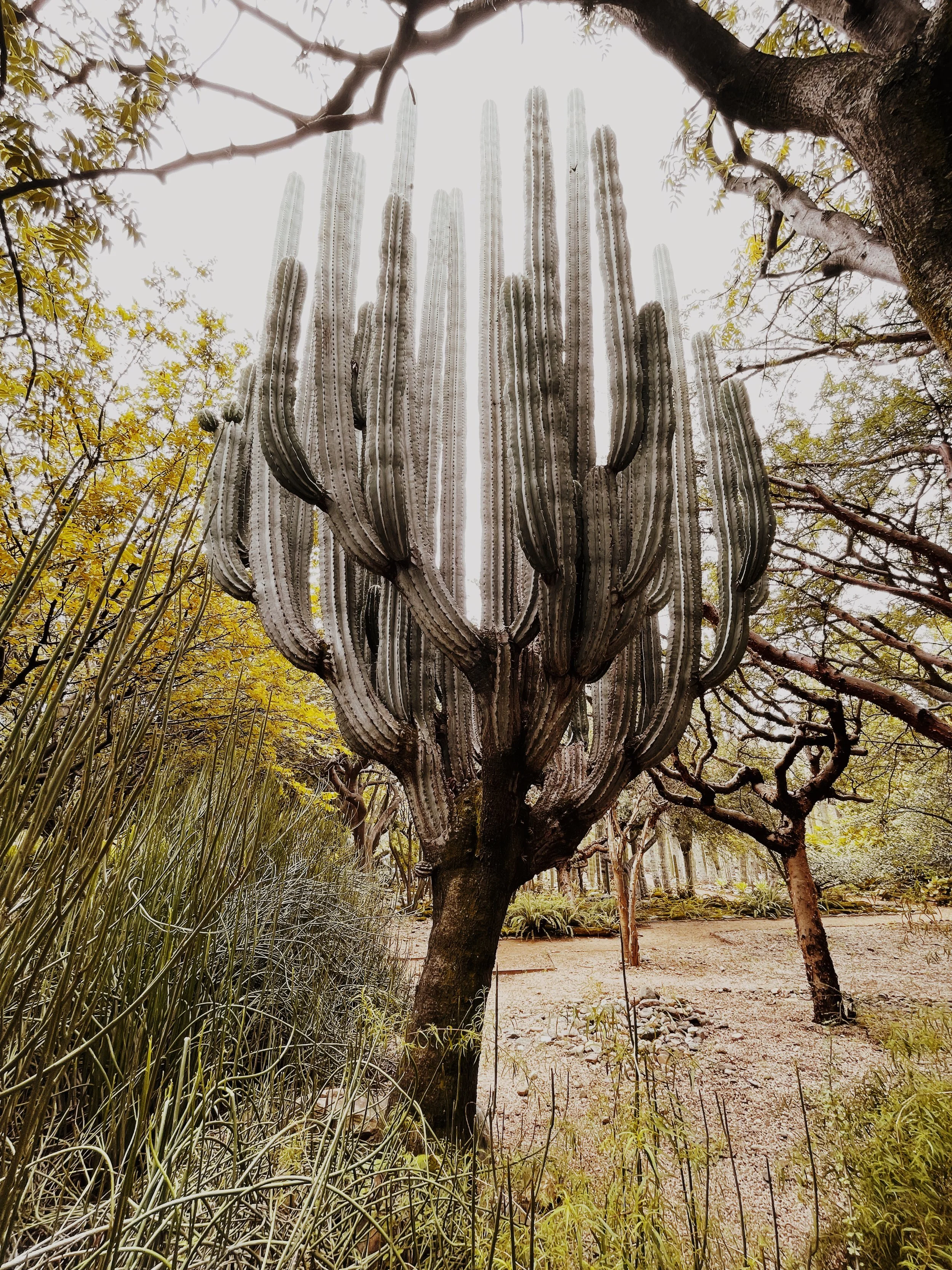 IMG_8255%20Edited 53 Edited.JPG