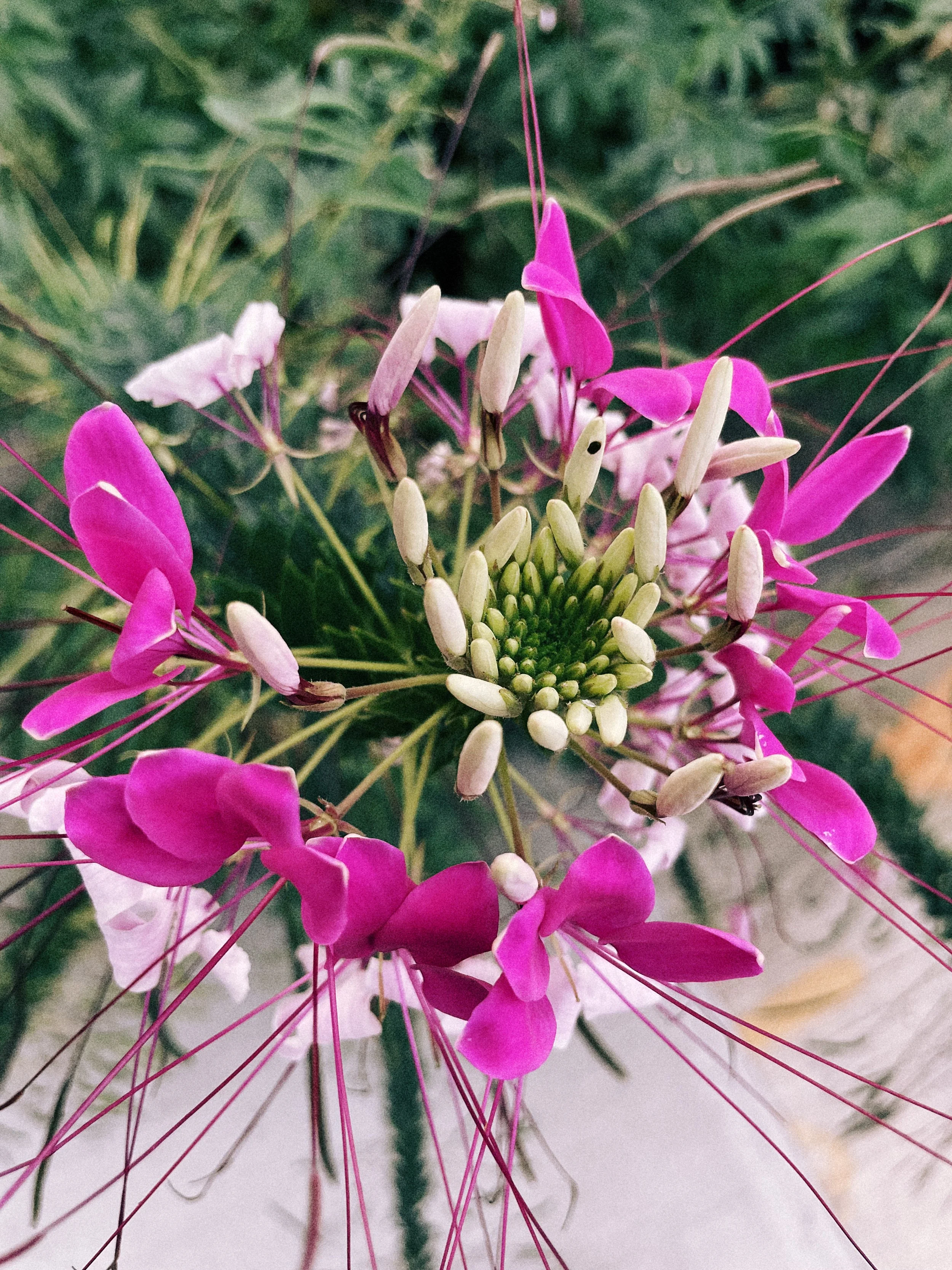 IMG_3308 Edited 3.JPG