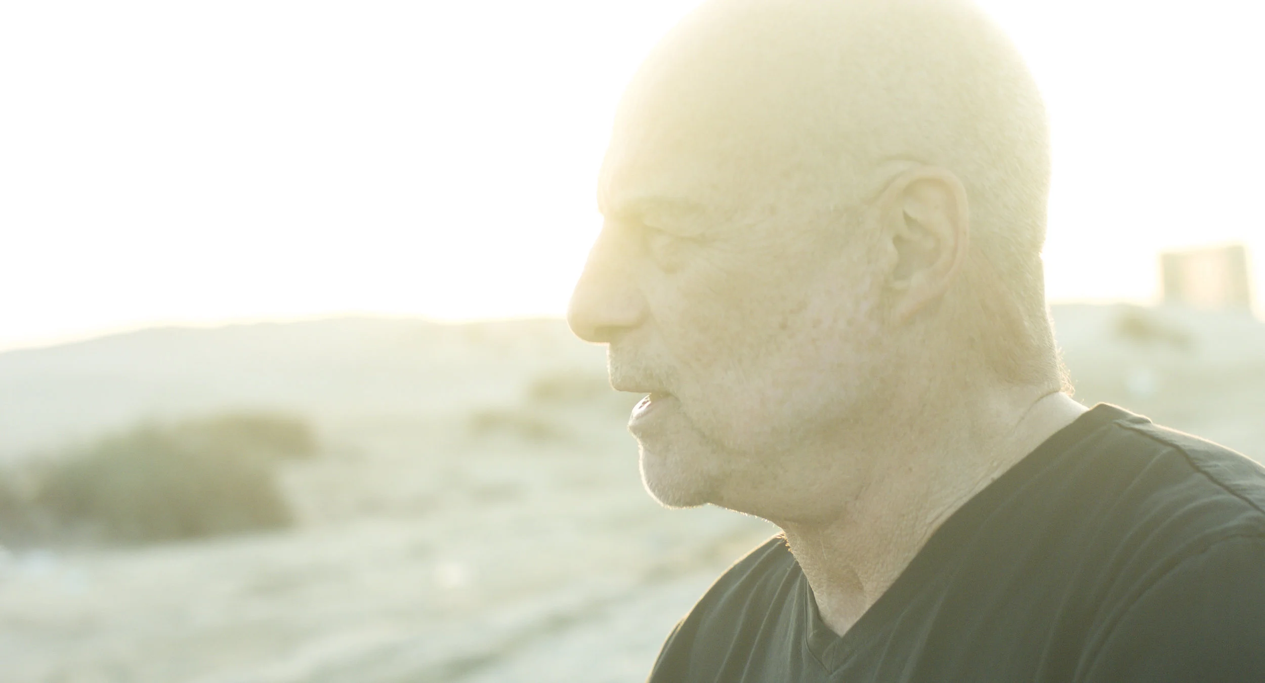 Remnants of the Hive