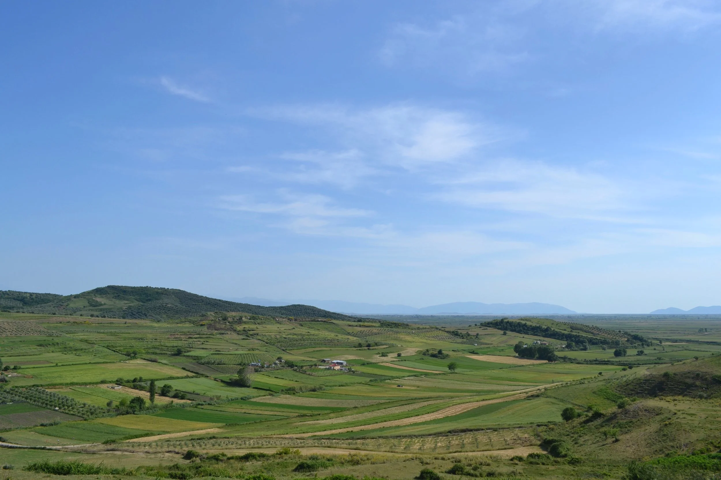 The green fields of Albania near the ruins of Apollonia
