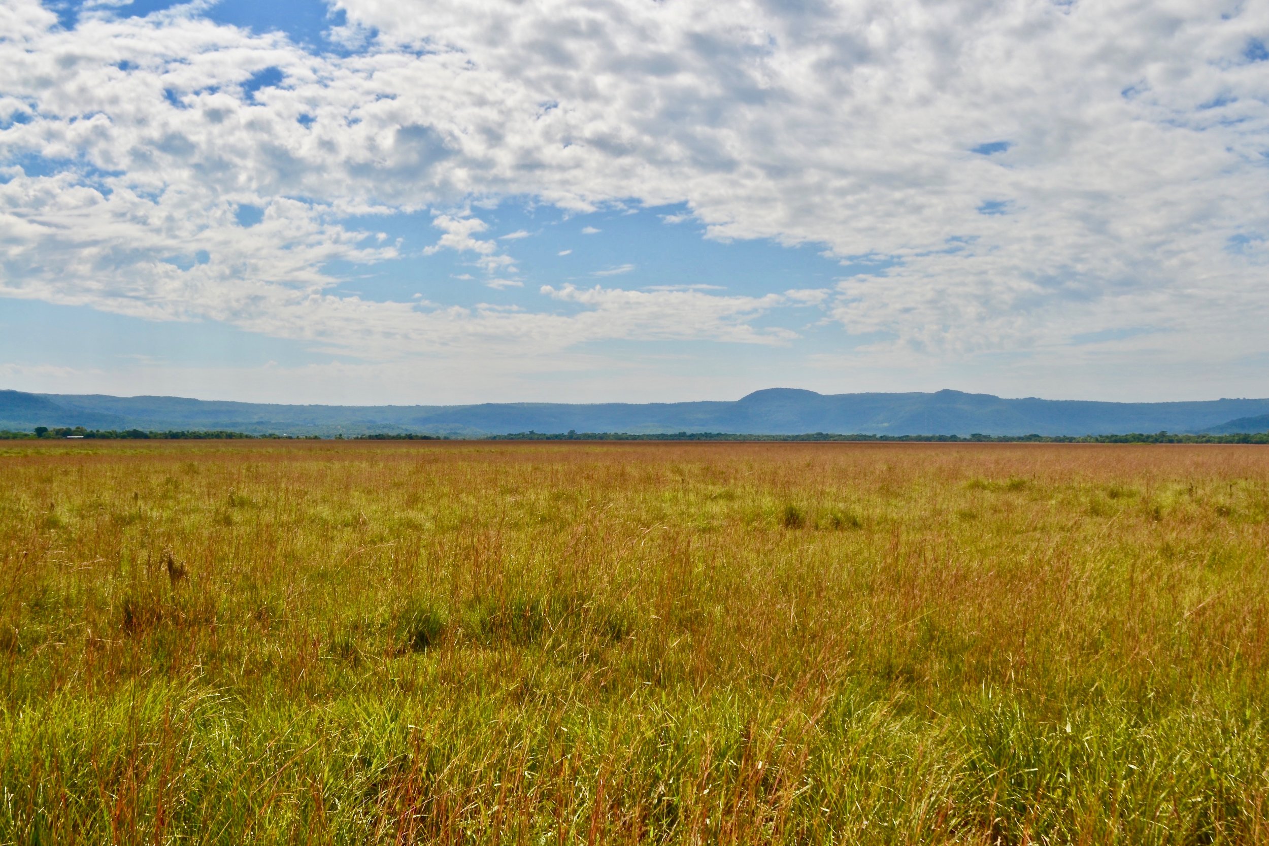 Rural Paraguay