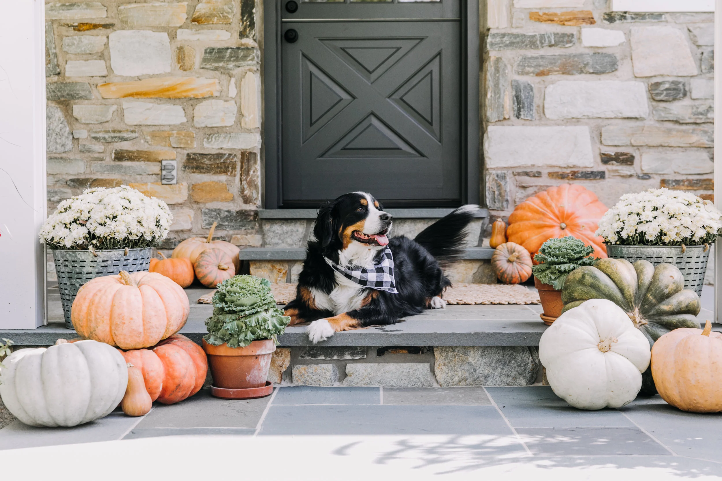 This was what I had been looking forward to! Decking out the landing with tons of pumpkins, mums and cabbages.