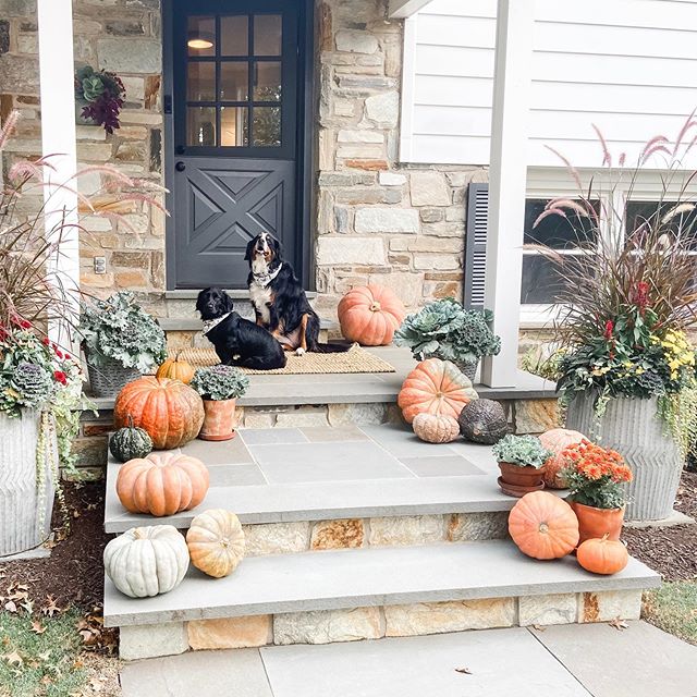 Happy Fall!! One year later and we still love decking out our bluestone landing for each new season 🎃🍁🍂🌾
