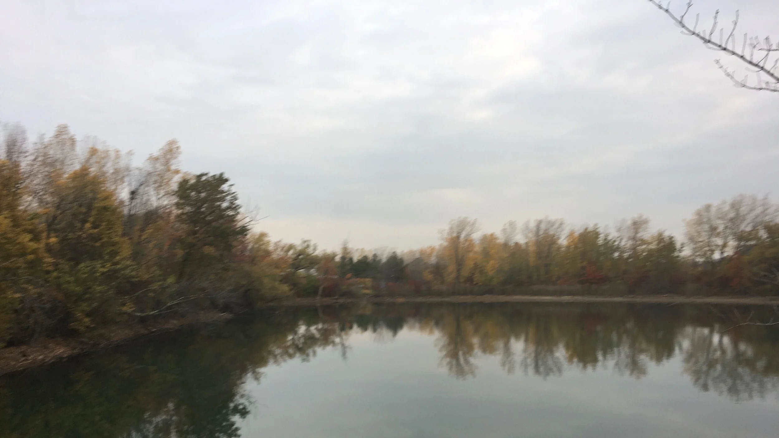 Fall 2017 Clean-Up at Jerry's Pond