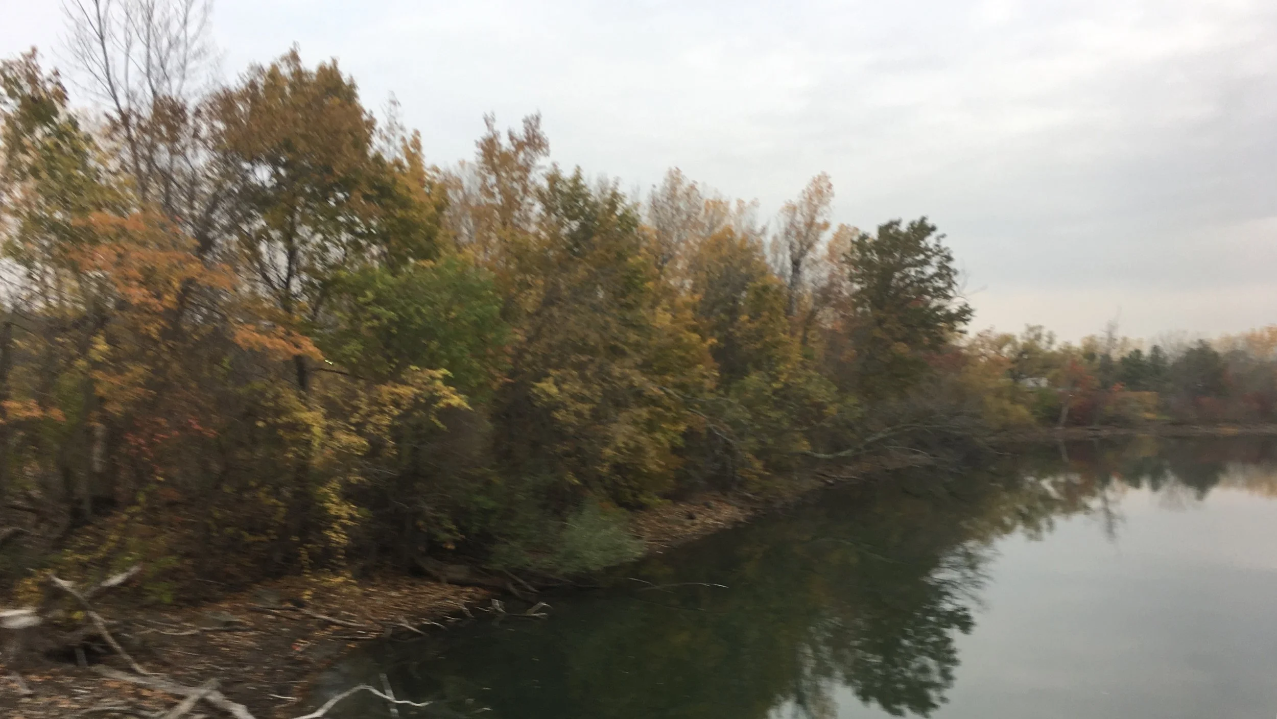 Fall 2017 Clean-Up at Jerry's Pond