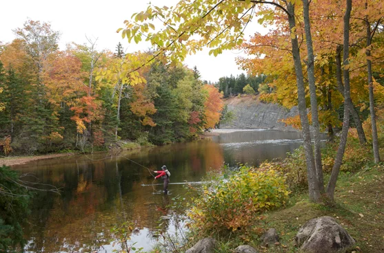 Fly Fishing - Margaree River