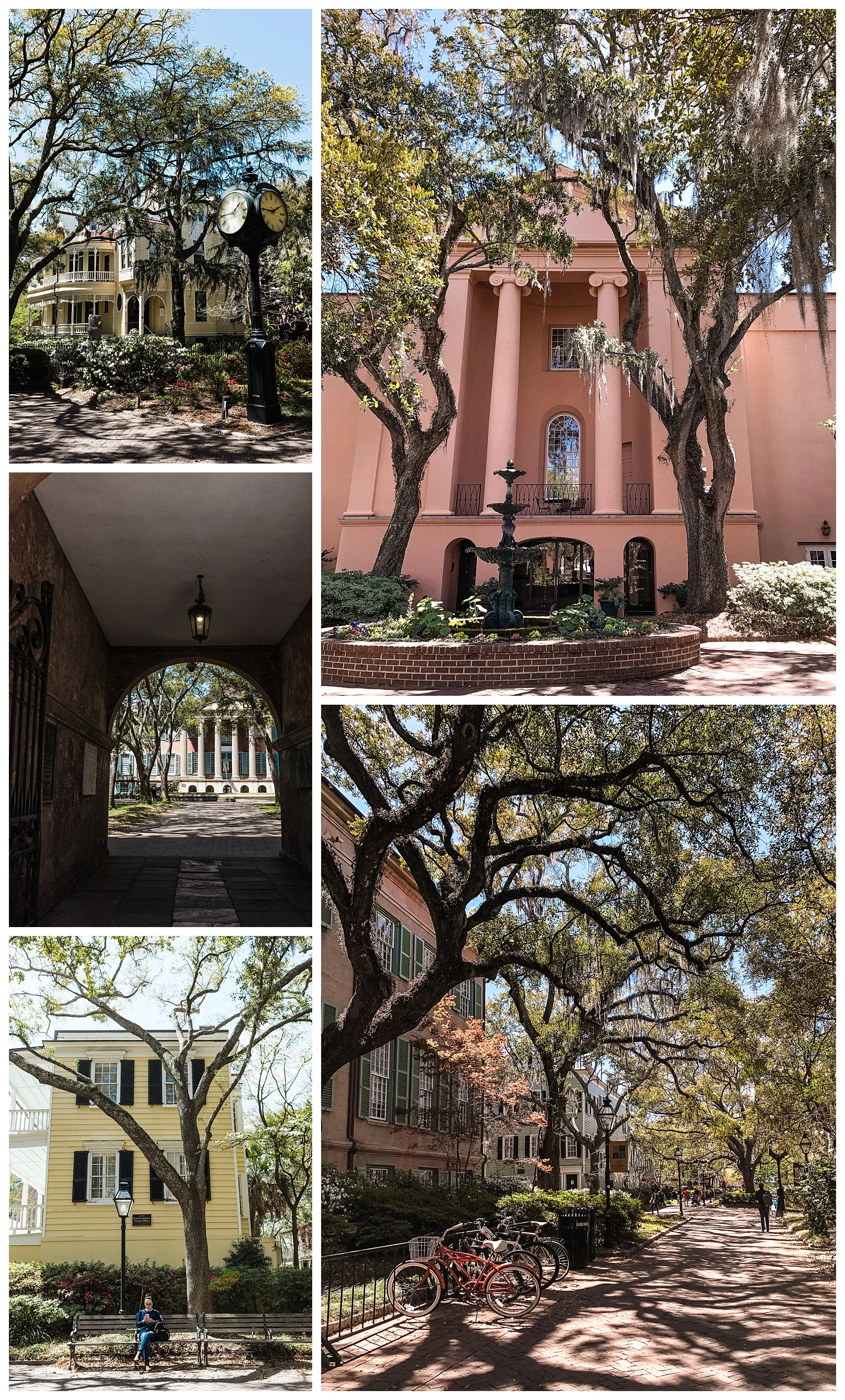 College of Charleston