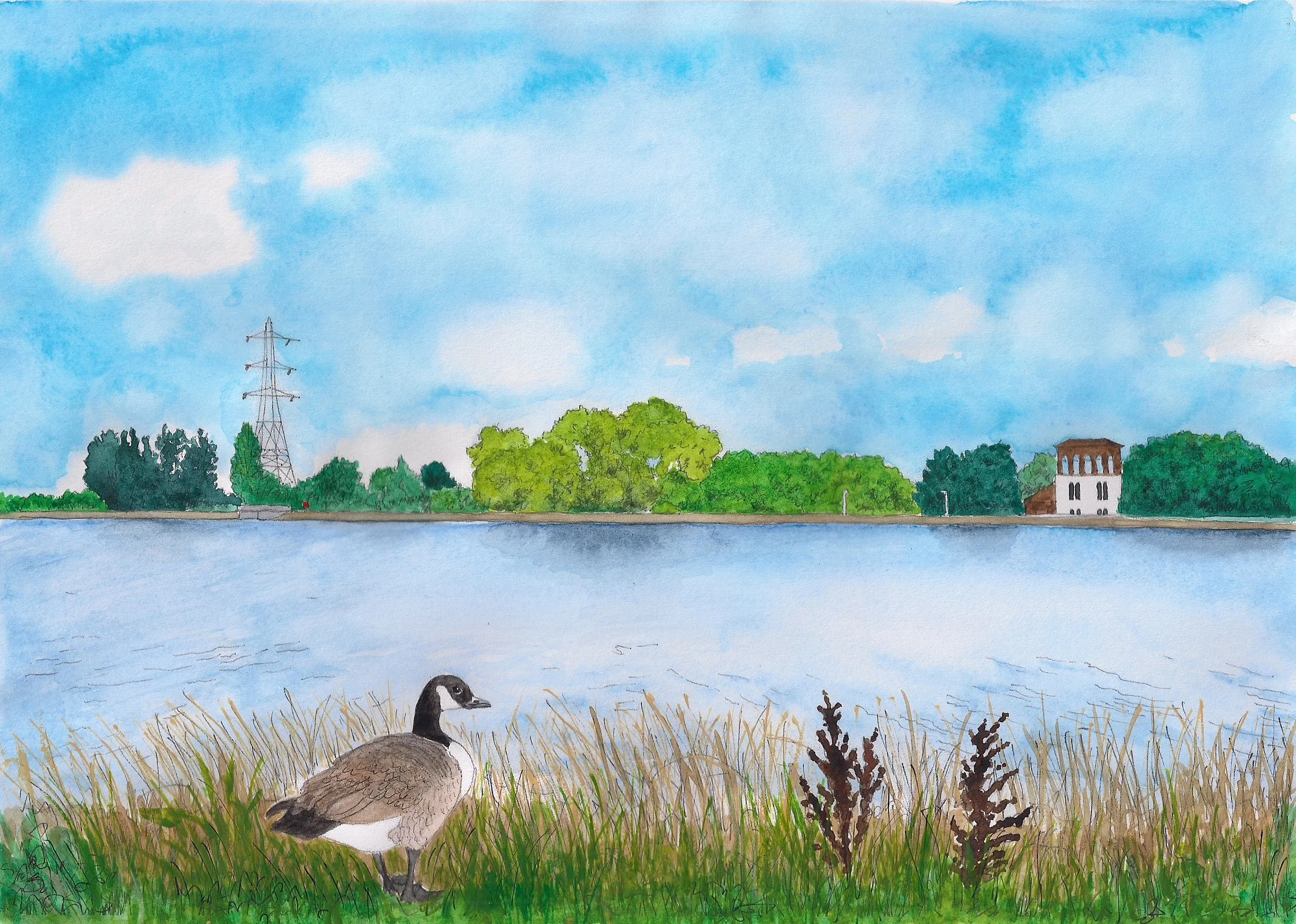 EmmaScutt_WalthamstowWetlands.jpg