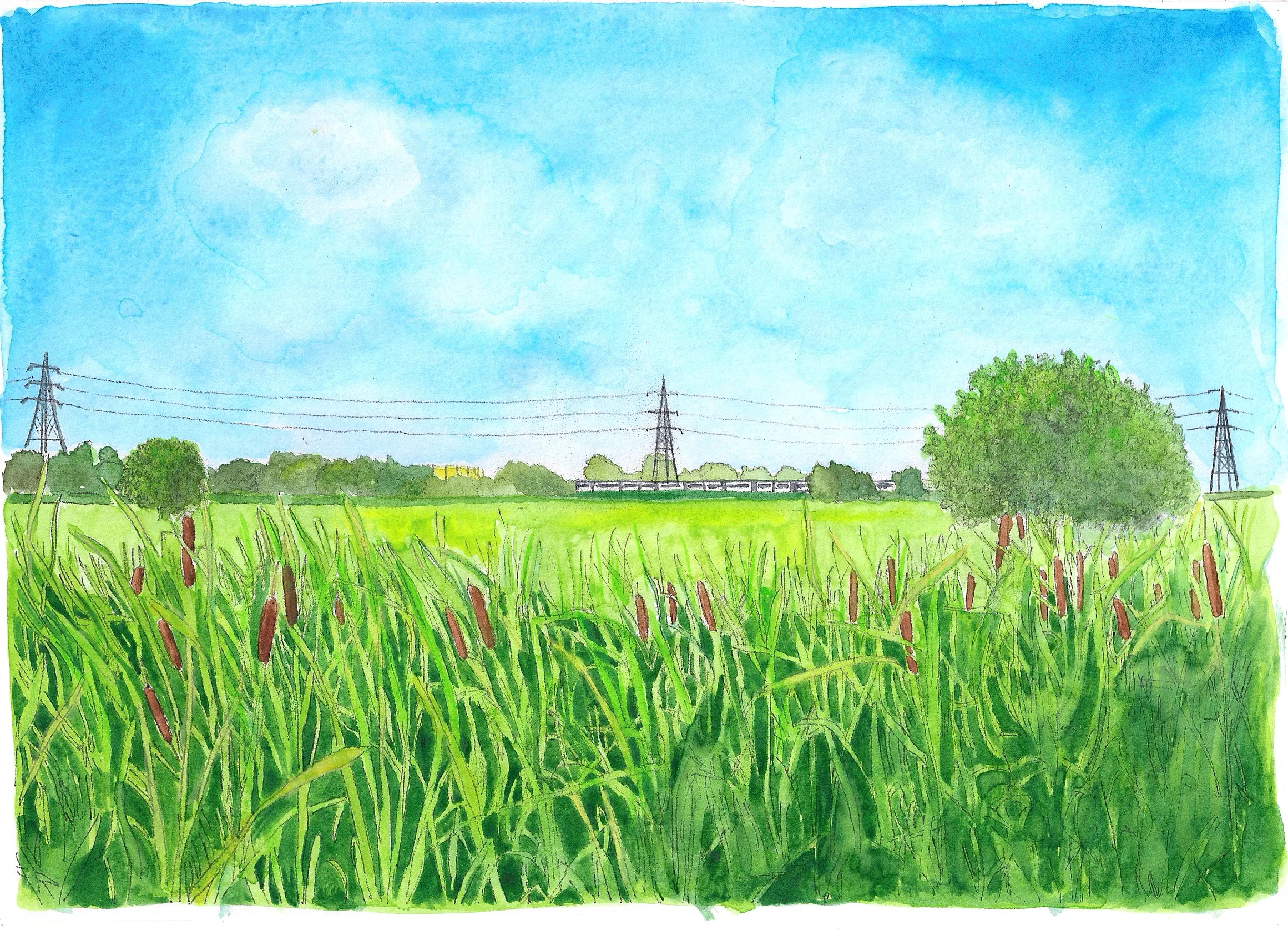 EmmaScutt_WalthamstowMarshes_32x42cm.jpg