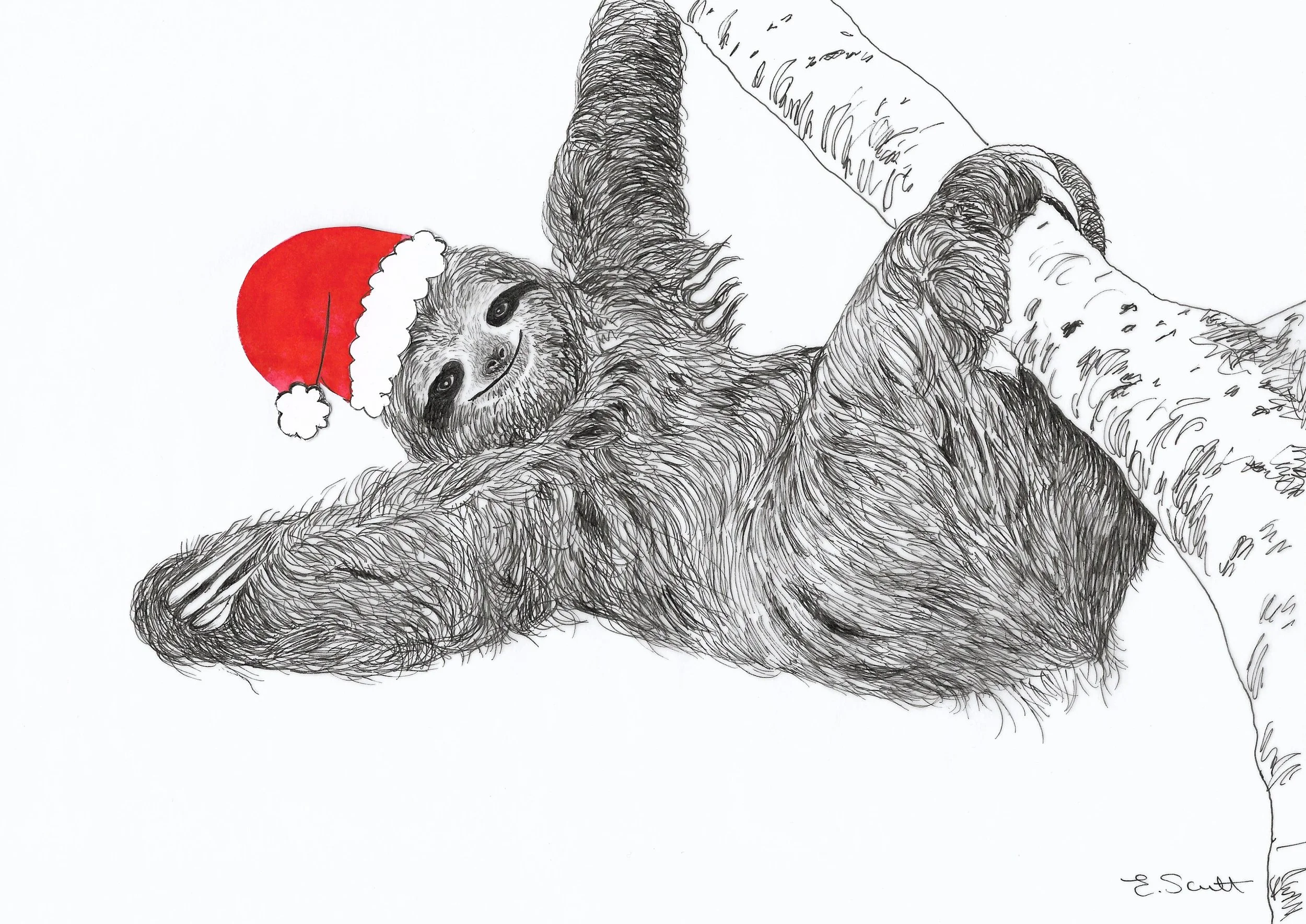 xmas sloth.jpg