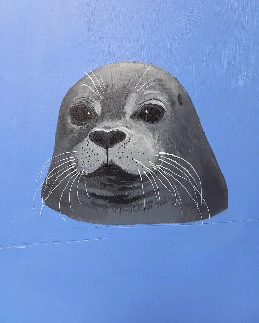 EmmaScutt_OrkneySeal.jpg