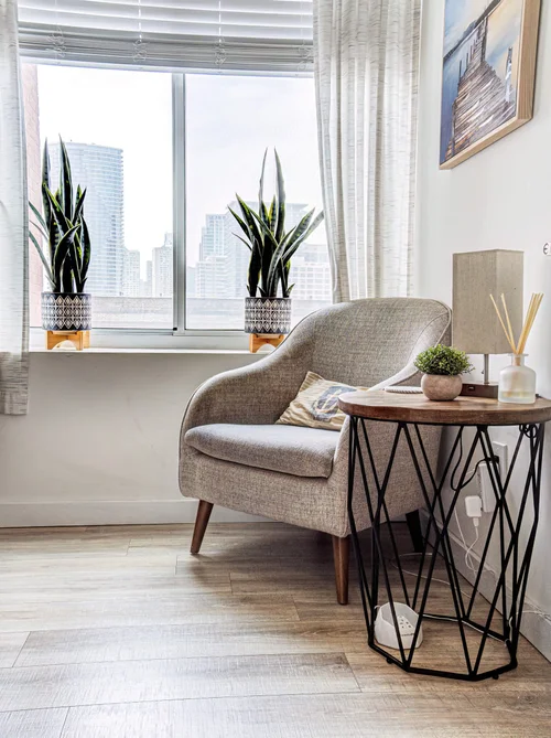Armchair and plants by a window overlooking the NYC skyline at our Hoboken office